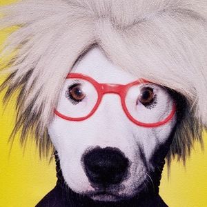 Meet your Posher, Suzanne